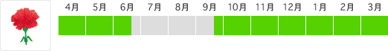 カ－ネ－ション