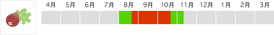 露地いちじく