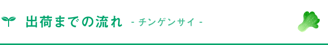 出荷までの流れ