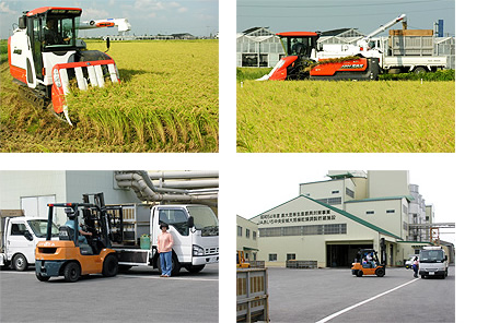 収穫、運搬、荷受け、乾燥調整