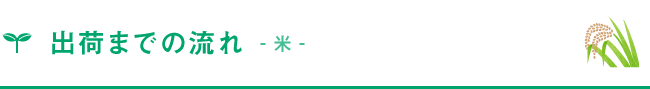 出荷までの流れ