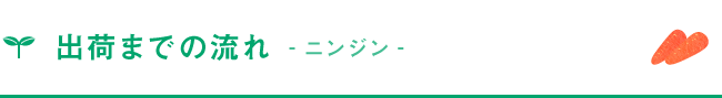 出荷までの流れ