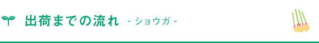 出荷までの流れ