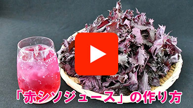 ニンジン料理レシピ