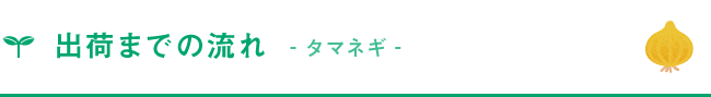 出荷までの流れ