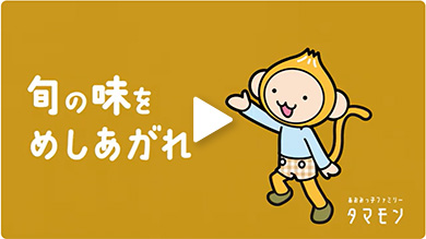 「タマネギ」のおいしさの理由(特徴)
