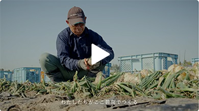 生産者の「タマネギ」にかける思い