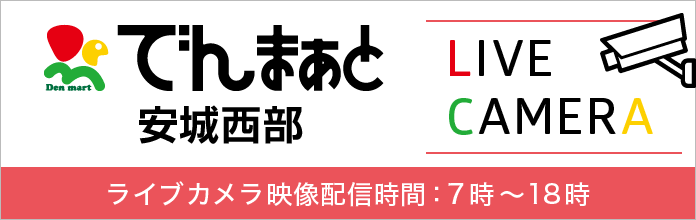 でんまぁと安城西部