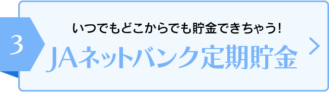 JAネットバンク定期貯金