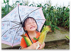 雨降ってもとうもろこしとるぞー!! 作品