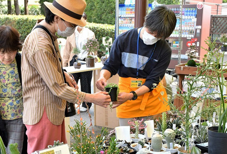 写真