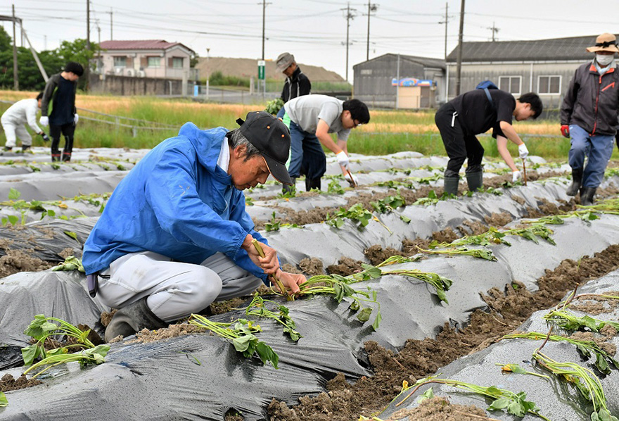 写真