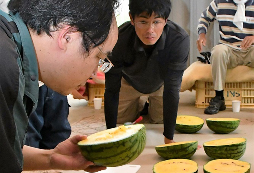 写真