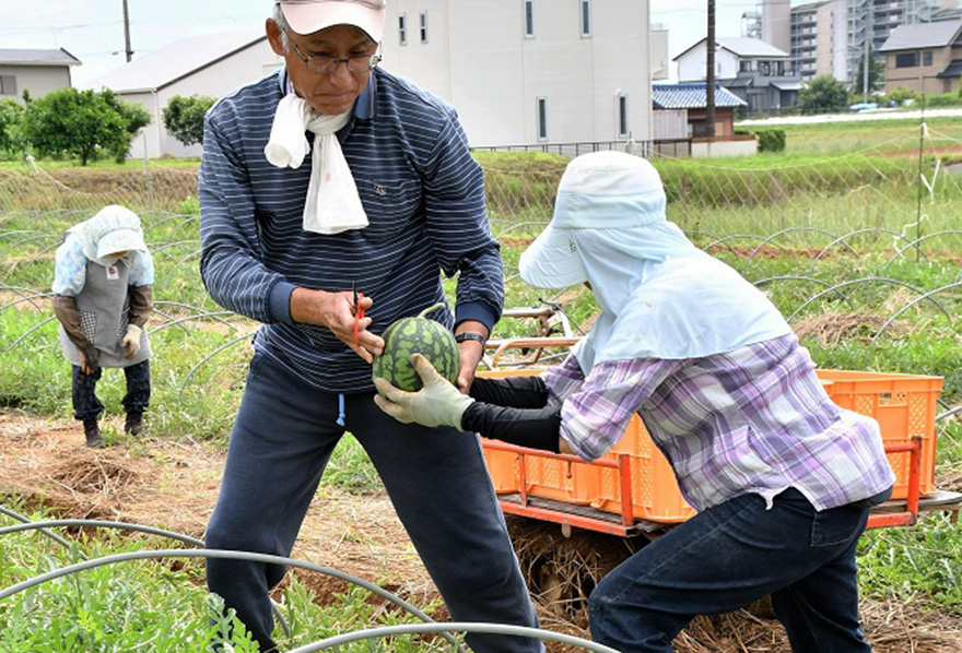 写真