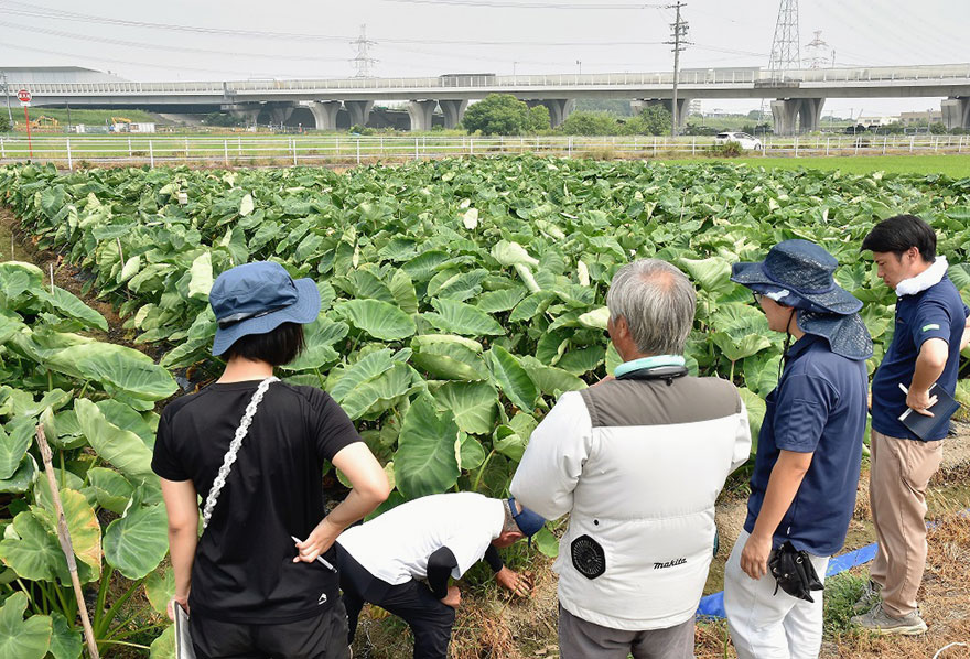 写真