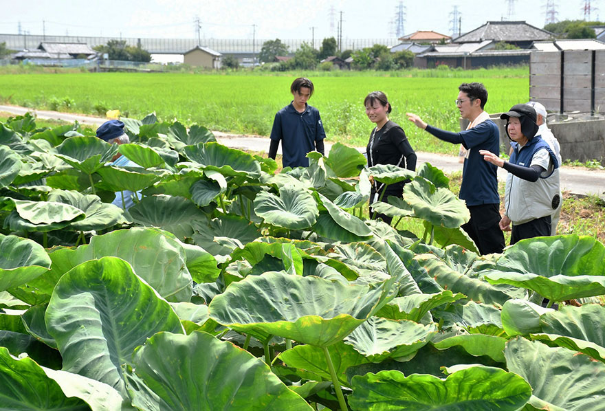 写真