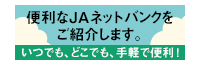 ＪＡネットバンク（あいち中央）